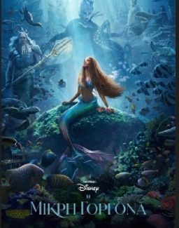 θΕΡΙΝΟ ΣΙΝΕΜΑ ΣΗΜΕΡΑ ΔΕΥΤΕΡΑ 15 ΙΟΥΛΙΟΥ ΣΤΟ ΣΥΛΛΟΓΟ ΑμεΑ ΤΟ ΜΕΛΛΟΝ